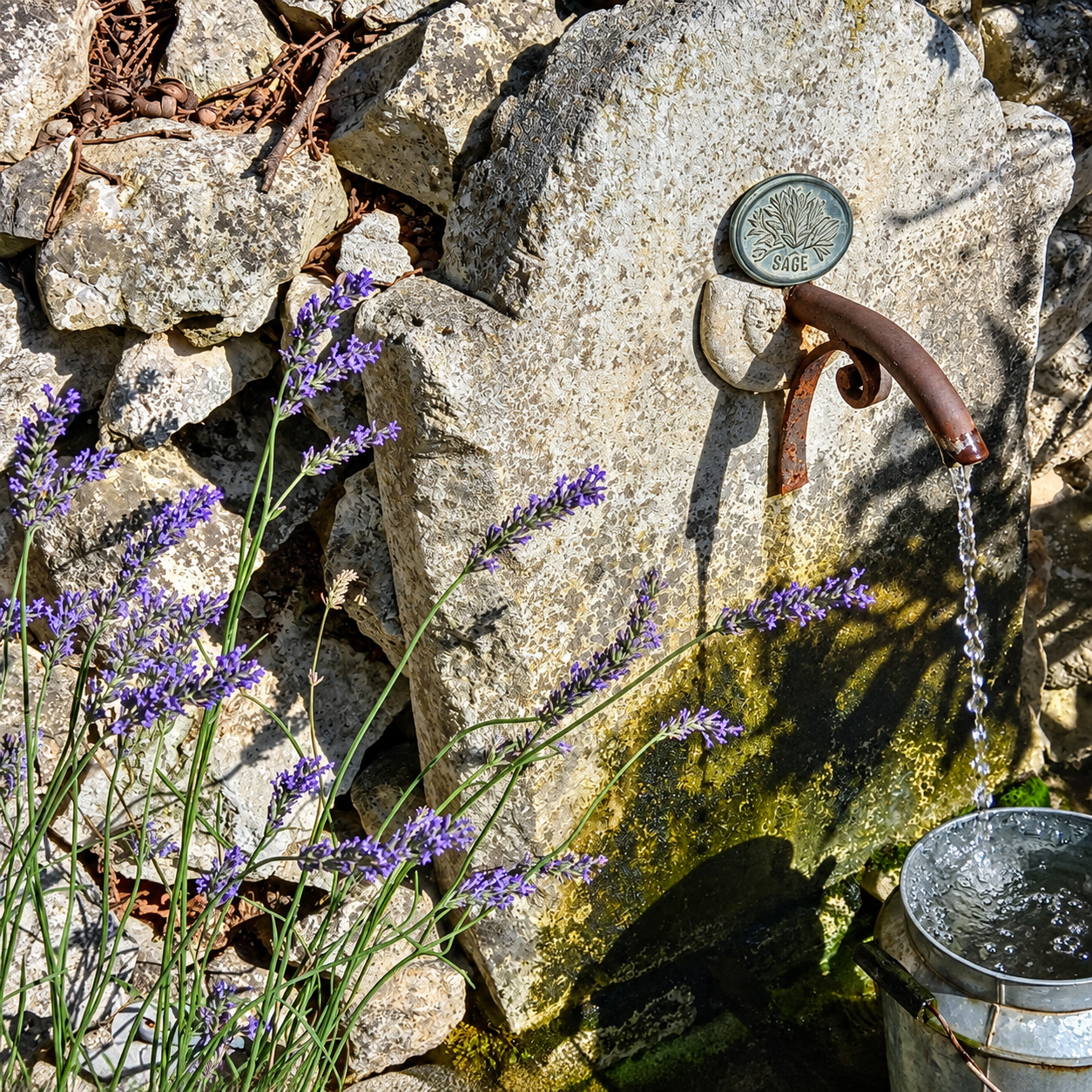 Fontaine en pierre entourée de lavande