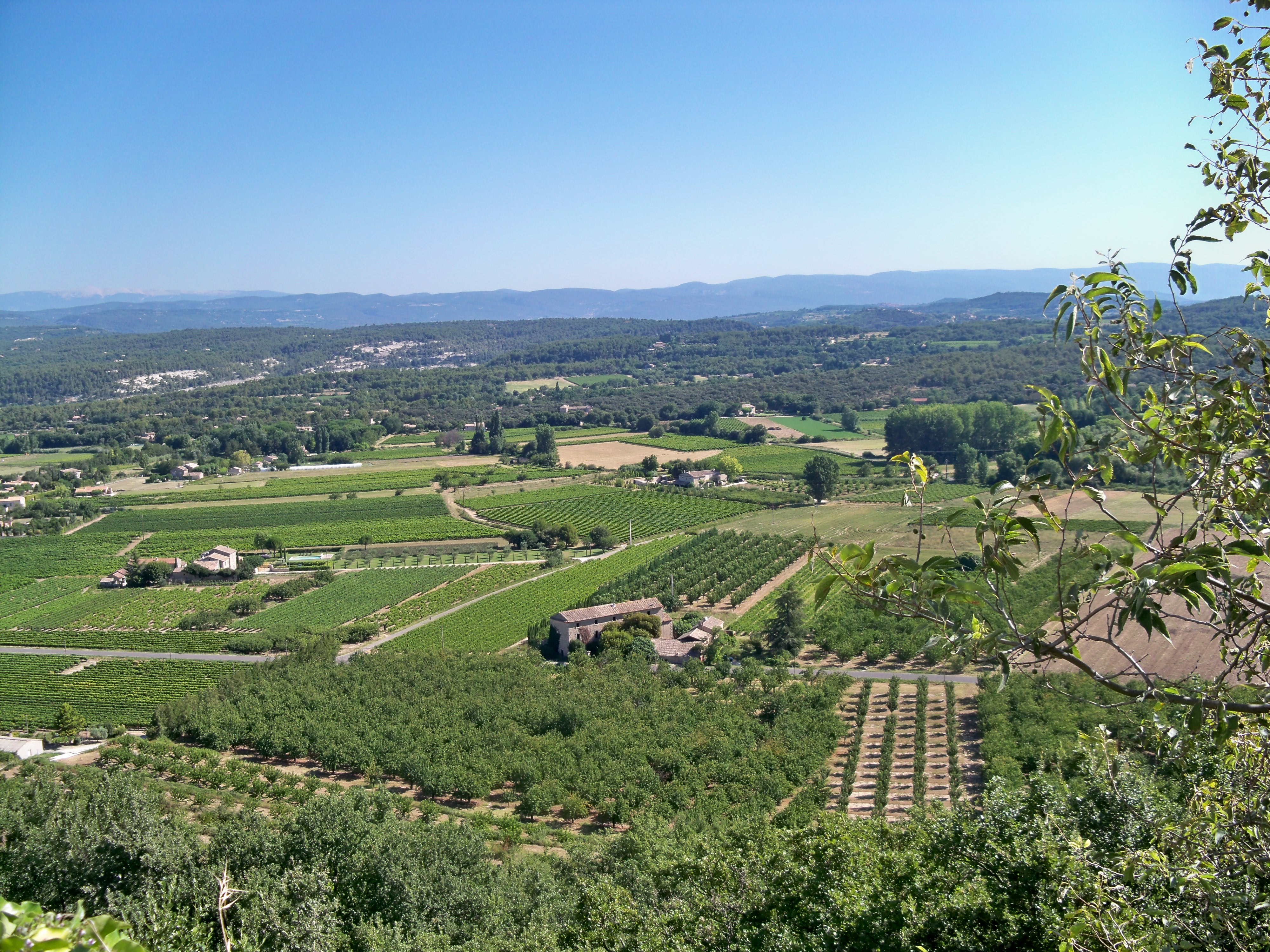 Paysage du Luberon en Provence