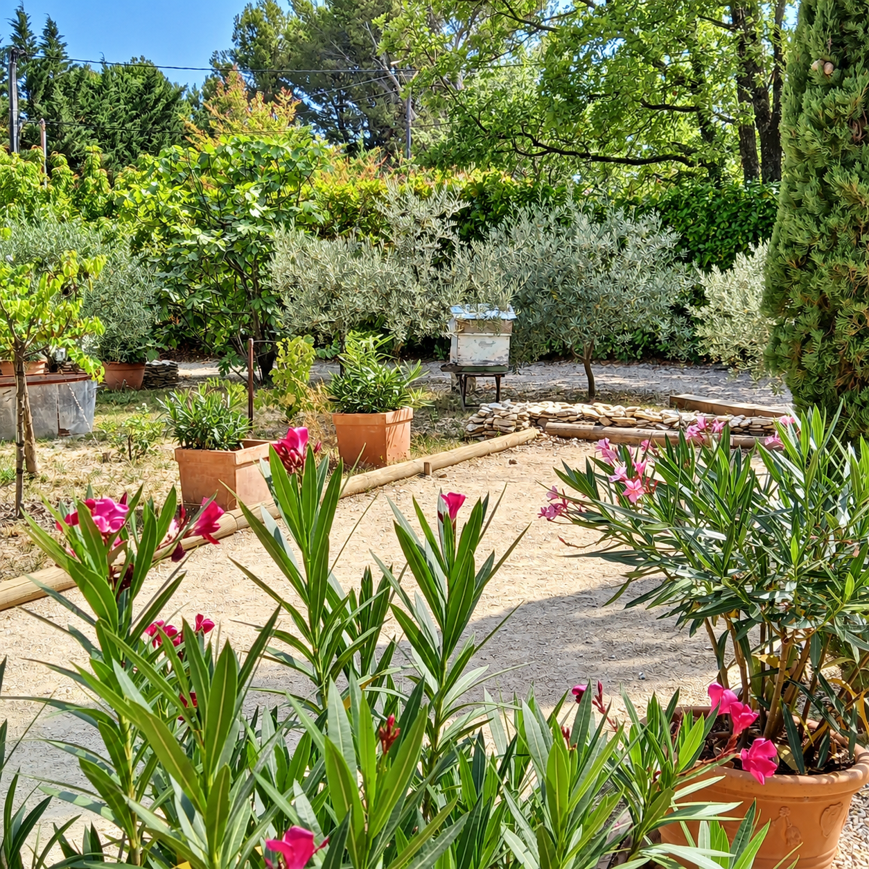 Terrain de boules fleuri dans le jardin du gîte